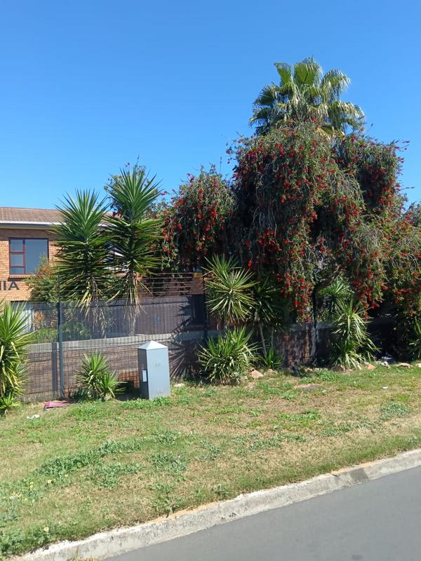 To Let 2 Bedroom Property for Rent in Windsor Park Western Cape